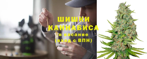 mdpv Новосибирск