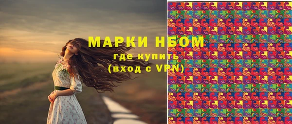 ешки Алзамай