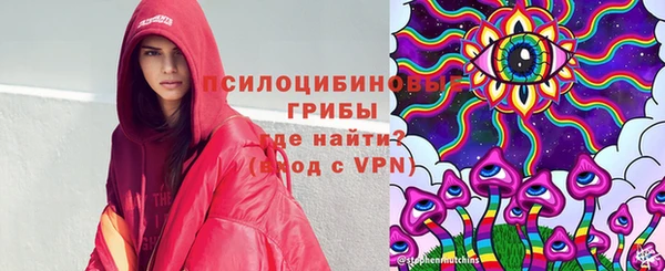 спиды Алексин