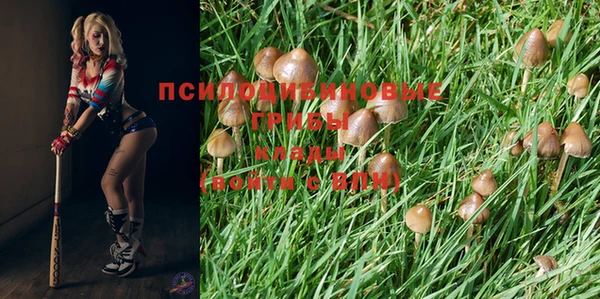 кокаин премиум Алексеевка