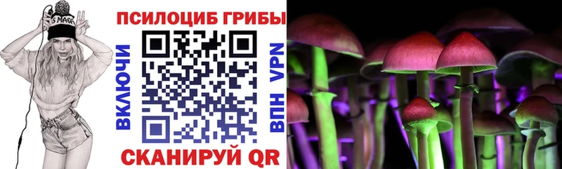 Галлюциногенные грибы Psilocybe Беслан